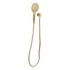 Aliro Accessible 3-Function Hand Shower Set - Brushed Brass