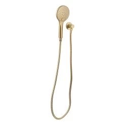 Aliro Accessible 3-Function Hand Shower Set - Brushed Brass