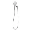 Aliro Accessible 3-Function Hand Shower Set - Stainless Steel