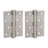 Ellis Butt Door Hinge Pair 100mm - Stainless Steel