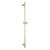 Elysian Shower Rail - Brushed Brass