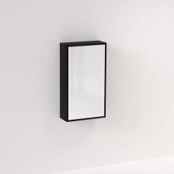 Myra 1 Door Mirror Cabinet 450mm - Black Oak