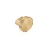 Namika Robe Hook/Cabinetry Knob - Brushed Brass