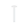 Shower Dropper 150mm - White