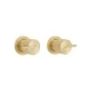 Namika Assembly Taps - Brushed Brass